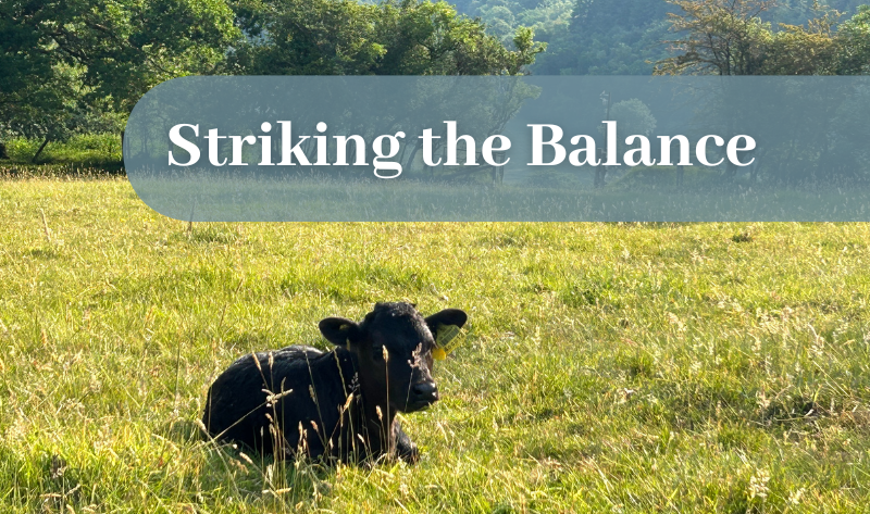 Striking the Balance